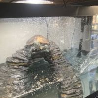 Reef Ryders Aquarium Service And Maintenance ico