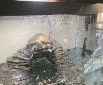 Reef Ryders Aquarium Service And Maintenance