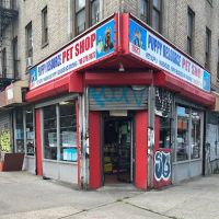 Uno Stop Pet Shop ico
