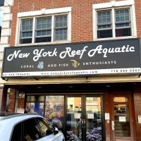 New York Reef Aquatic ico