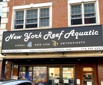 New York Reef Aquatic