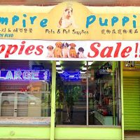 Empire Pet Fish ico