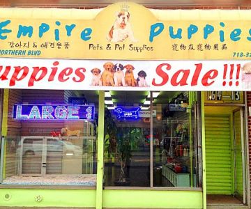Empire Pet Fish