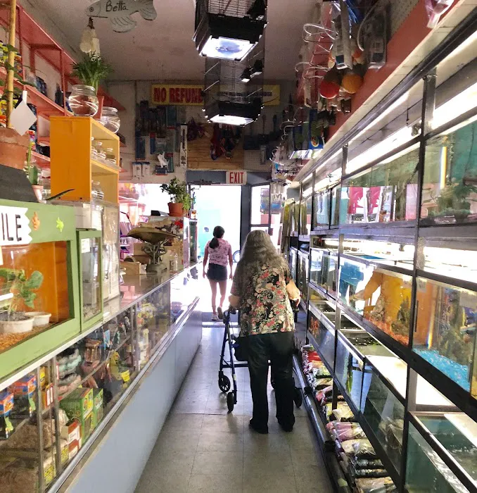 J & J Pet Shop 2