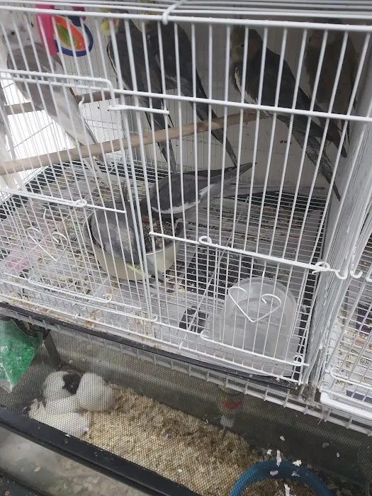 J & J Pet Shop 4