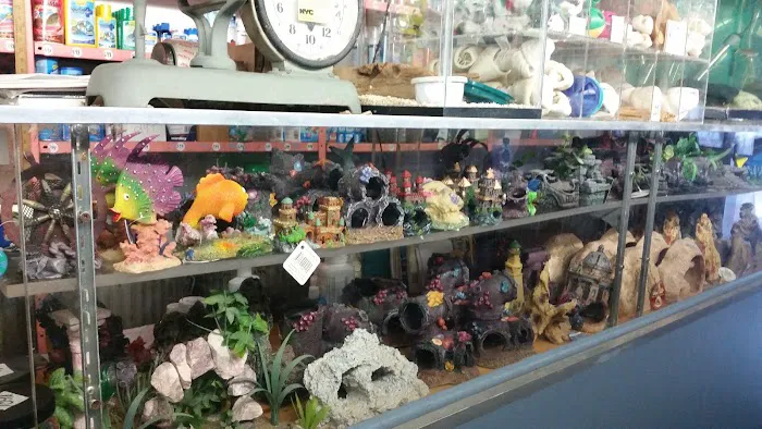 J & J Pet Shop 3
