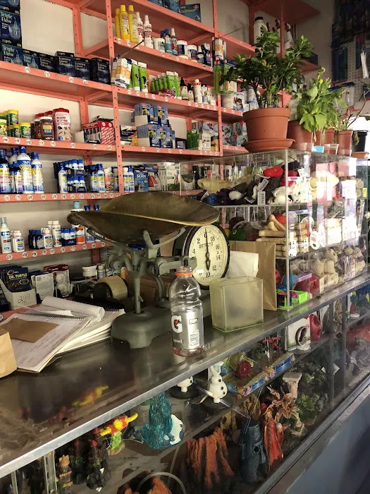 J & J Pet Shop 8
