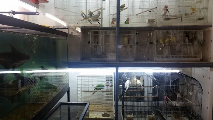 J & J Pet Shop 10