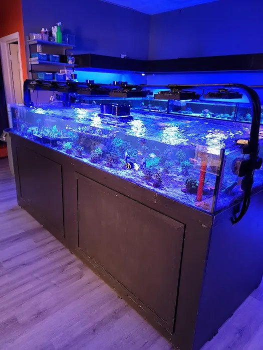 The Reef Shoppe 1
