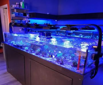 The Reef Shoppe
