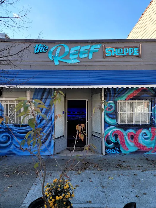 The Reef Shoppe 2