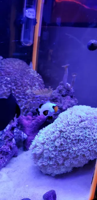 The Reef Shoppe 4