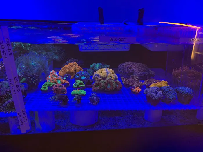 The Reef Shoppe 8