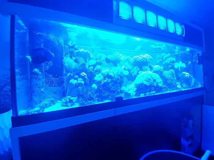 The Reef Shoppe 5