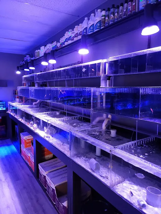 The Reef Shoppe 6