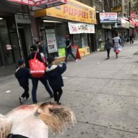 Gabby Pets ico