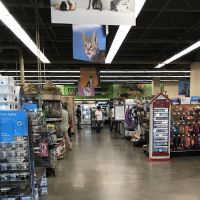 Petco ico
