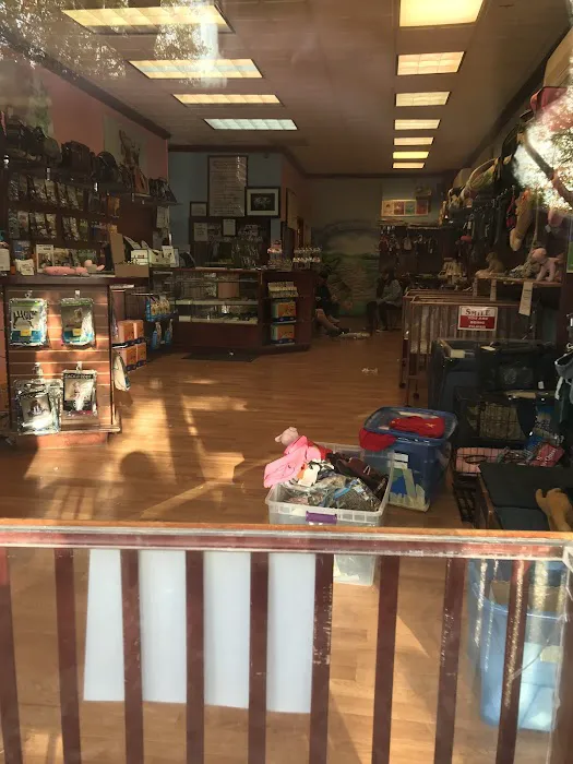 Vanity Pups Boutique 1