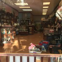 Vanity Pups Boutique ico