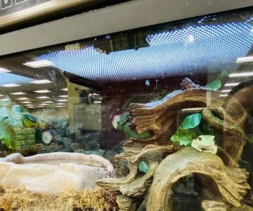 Petco