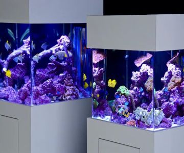 Reef Bar Aquarium Services