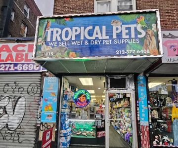 Tropical pets