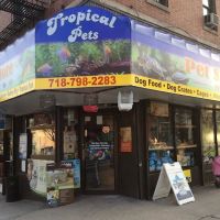 Tropical Pets ico
