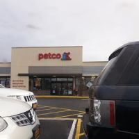 Petco ico