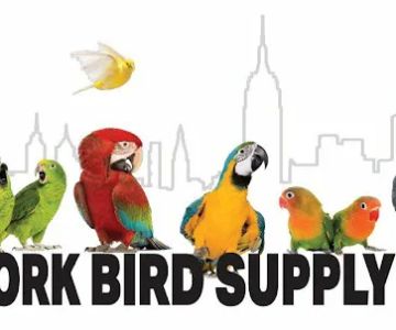 New York Bird Supply