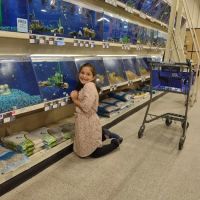 Petco ico