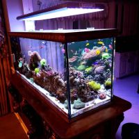 Pristine Marine Aquariums ico