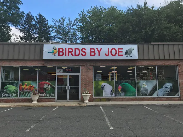 Birds By Joe 3