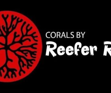 Corals by Reefer Ryan