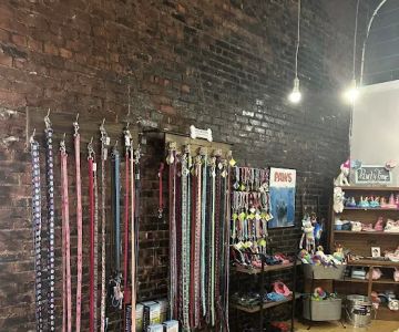 Paws Barkery and Boutique