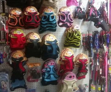 Plaza Pet World
