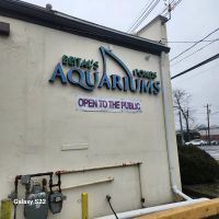 Beital's Aquariums Sales, Services & Ponds ico