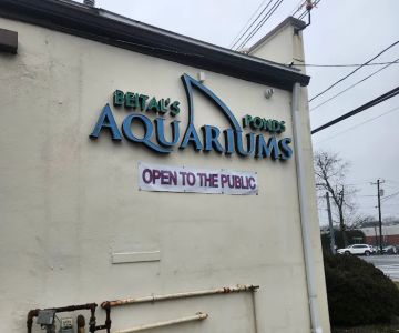 Beital's Aquariums Sales, Services & Ponds