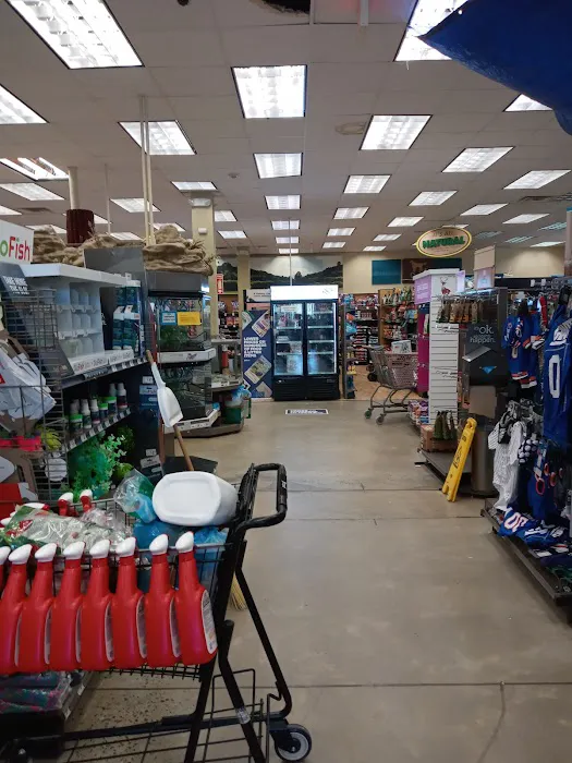 Petco 2