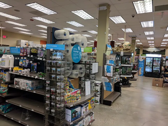 Petco 9