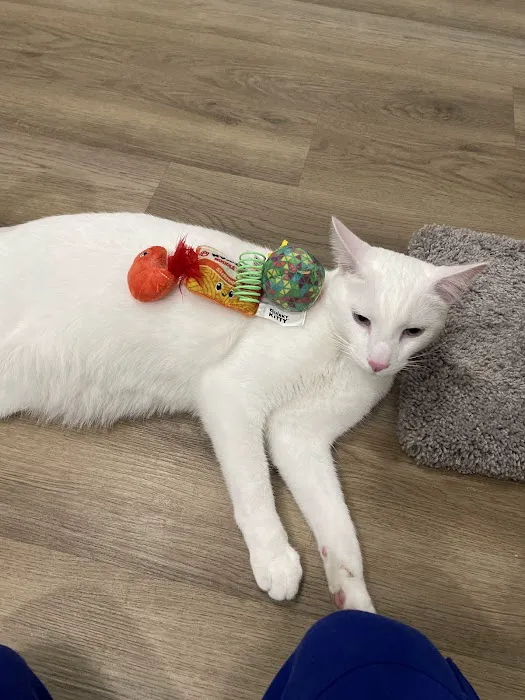 Petco 4