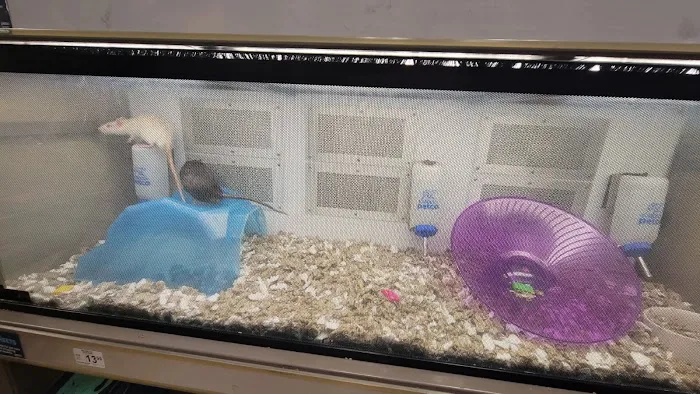 Petco 5
