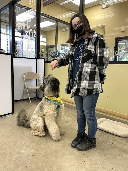 Petco 10