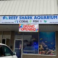 Reef Shark Aquarium Inc ico