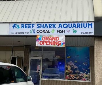 Reef Shark Aquarium Inc