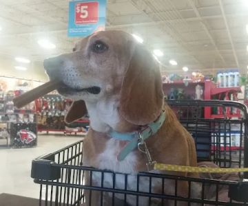 Petco