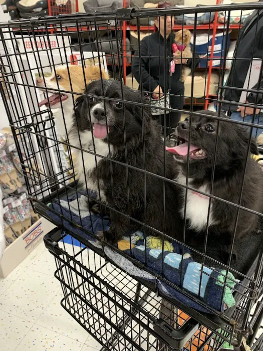 Petco 3