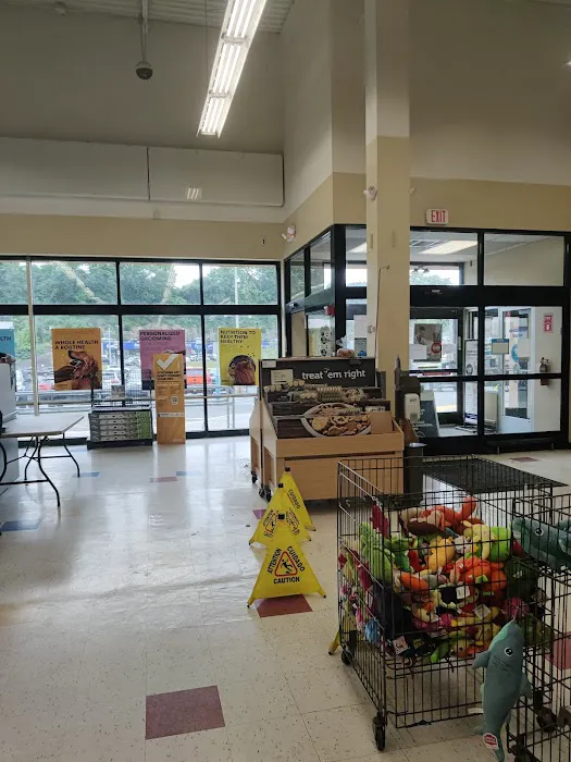 Petco 2