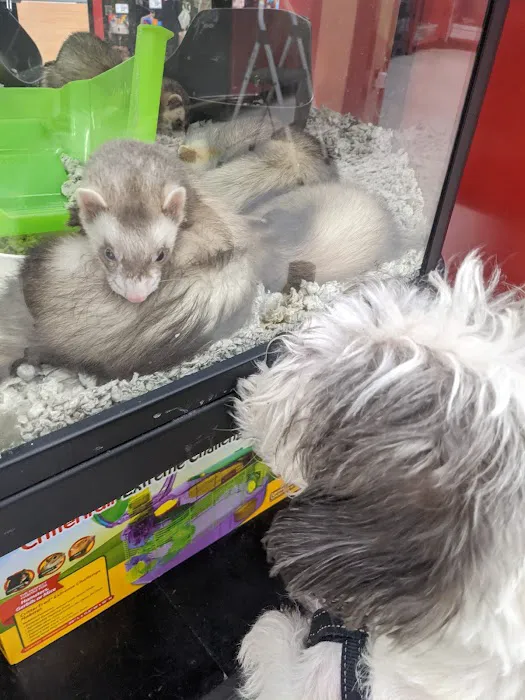 Petco 6