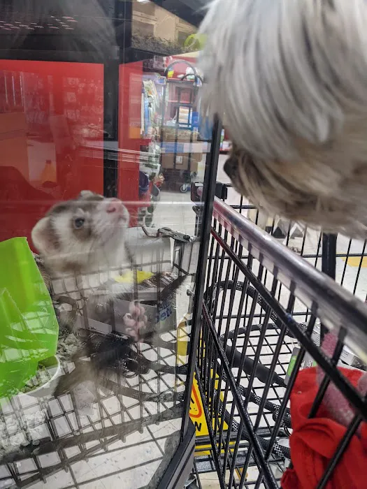 Petco 5