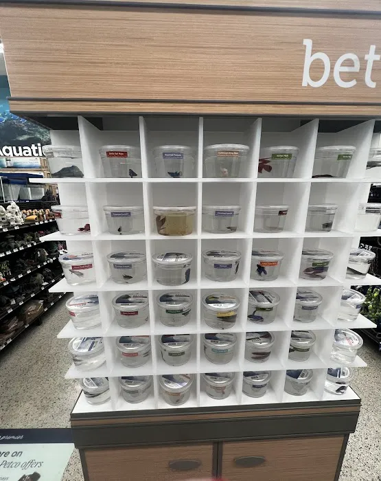 Petco 9